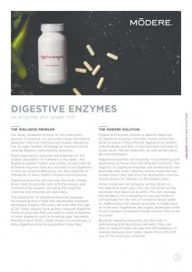 thumbnail of NZ-Digestive-Enzymes
